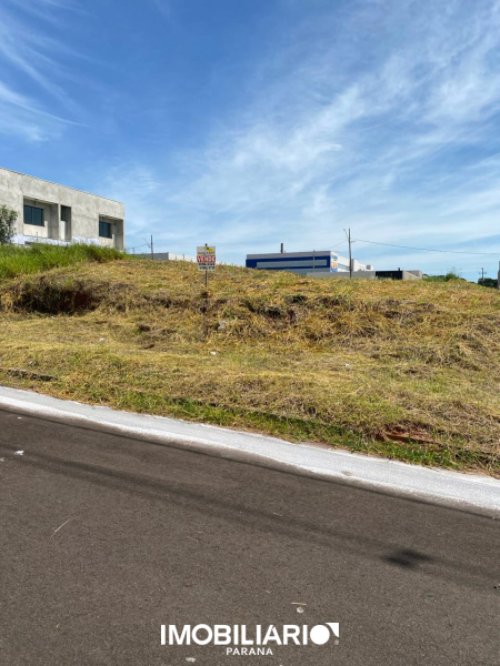 Terreno para  Venda em Umuarama pela Caetano & Otávio