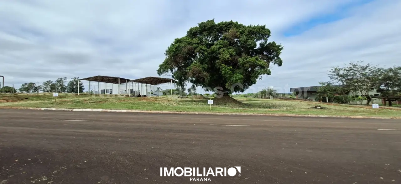 Terreno para  Venda em Umuarama pela Nilson Ramos corretor de imóveis