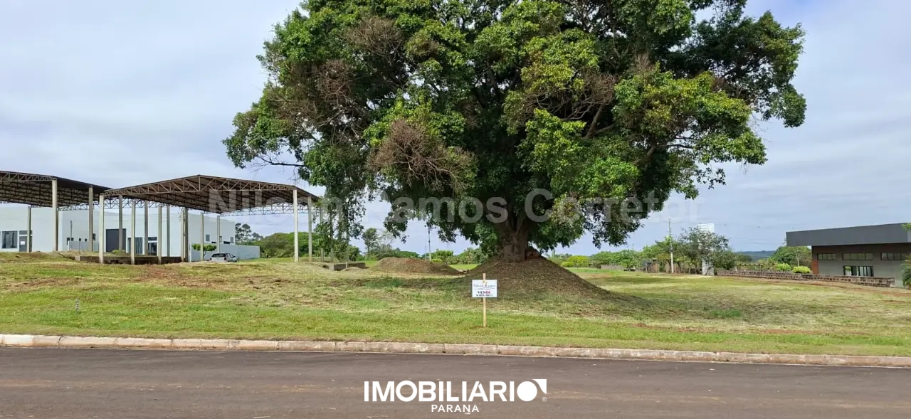Terreno para  Venda em Umuarama pela Nilson Ramos corretor de imóveis