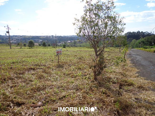 Terreno para  Venda em Umuarama pela Araujo