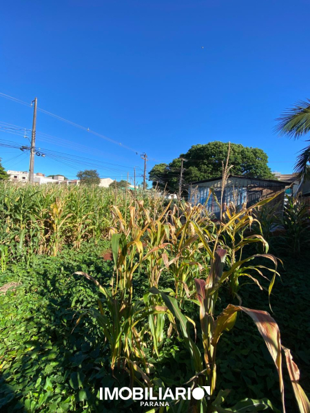 Vista parcial fundos