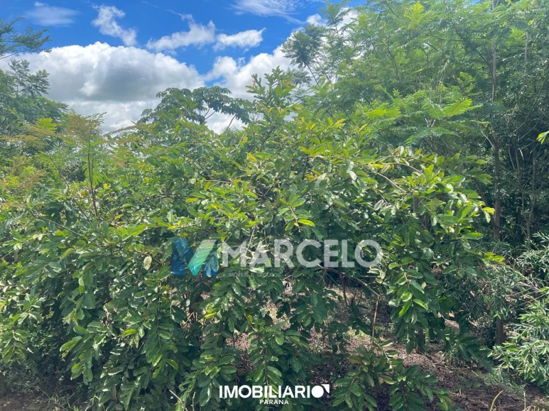 Chácara para  Venda em Umuarama pela Marcelo