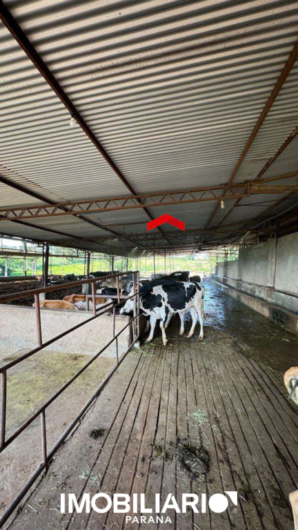 Sítio para  Venda em Umuarama pela Paulo Sergio