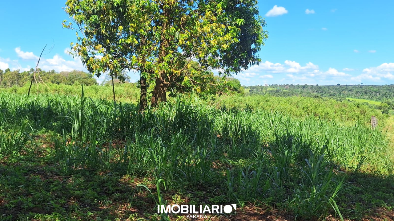 Sítio para  Venda em Umuarama pela Aliança