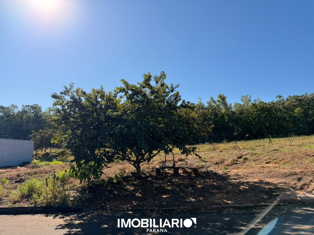 Terreno para  Venda em Umuarama pela Emerson