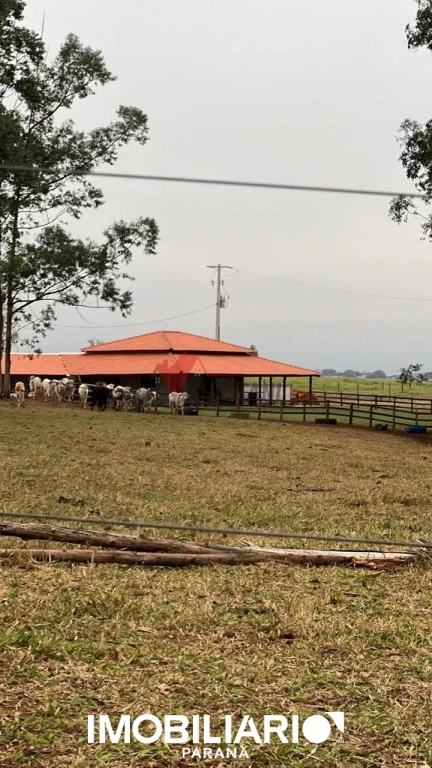Venda Chácara - Estrada Jaborandi