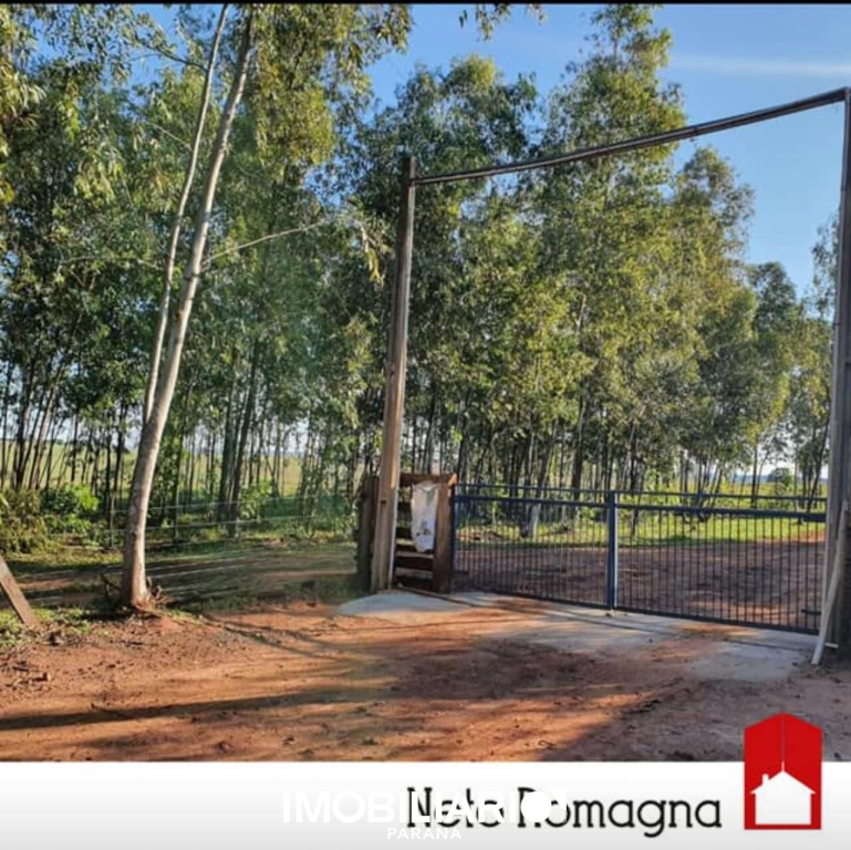 Venda Chácara - Santa Eliza