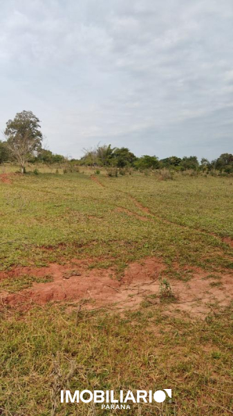 Venda Chácara - Estrada Jaborandi