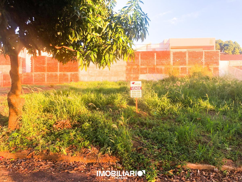 Venda Terreno - Novo Milênio