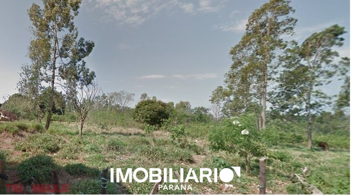 Alugar Terreno - Jardim Paineiras