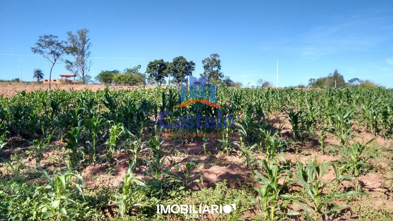 Venda Chácara - Área Rural de Umuarama