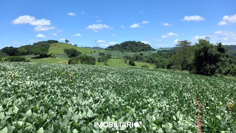 Venda Fazenda - Área Urbanizada III 