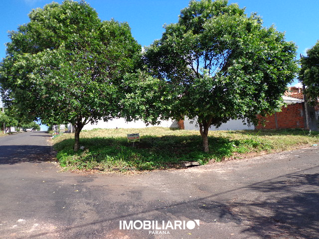 Venda Terreno - Jardim Morumbi