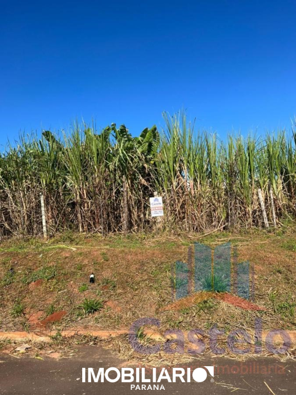 Venda Terreno - Jardim Europa