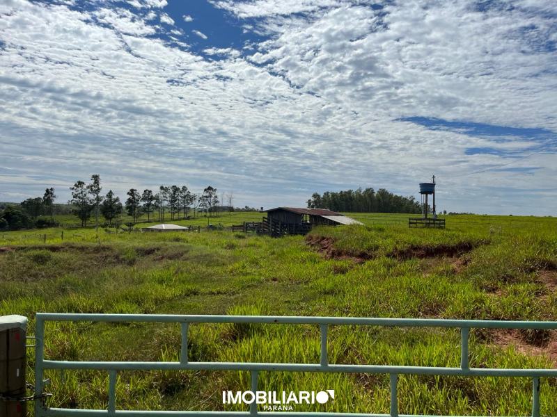 Venda Chácara - Umuarama