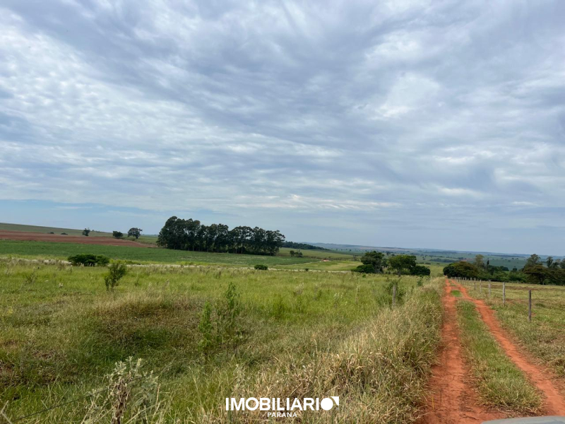 Venda Sítio - Cidade Gaúcha