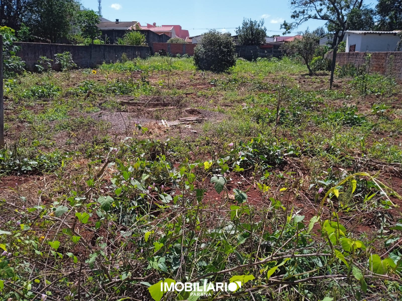 Venda Terreno - Novo Centro