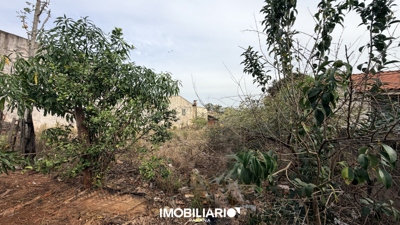Venda Terreno - Santa Casa