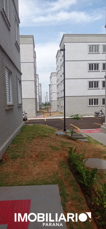 Alugar Apartamento - Zona V