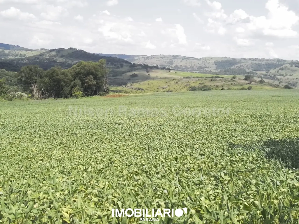 Venda Apartamento - Fazenda Região de Cascavel