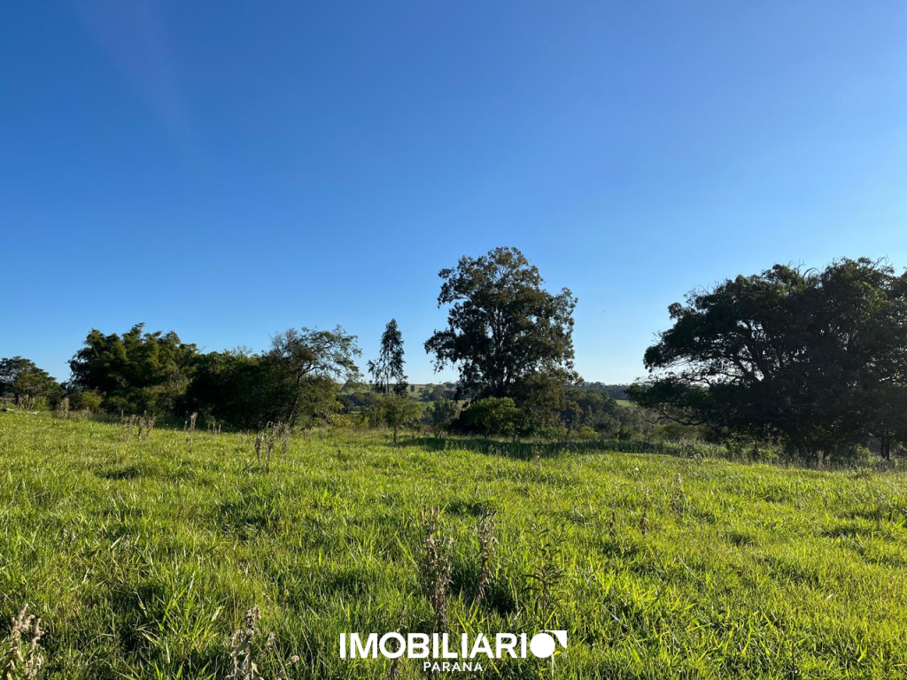Venda Rural - Estrada Jaborandi