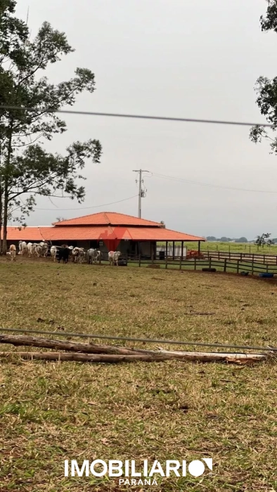 Chácara para  venda em Estrada Jaborandi, Umuarama, 20.000,00m²