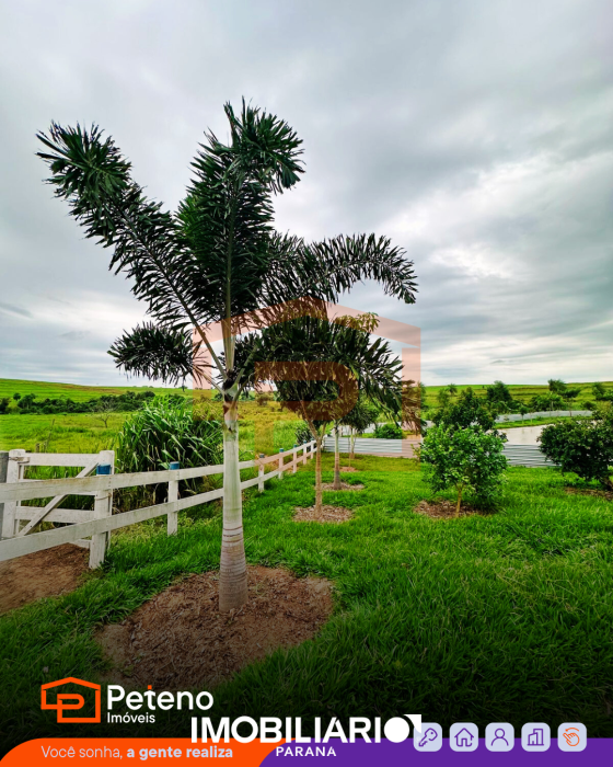 Sítio para  vendaIvaté, 9,00 alq