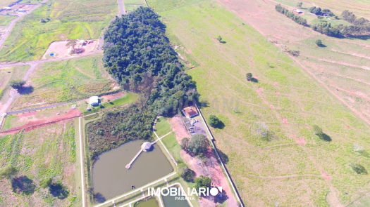 Terreno para  vendaUmuarama