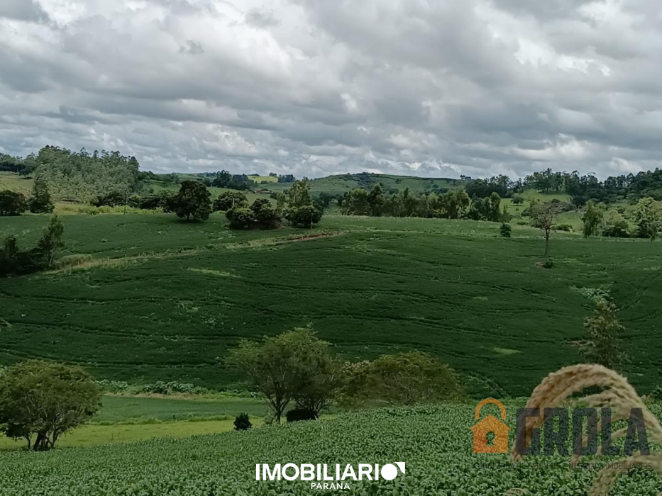 Sítio para  venda em Zona Rural, Nova Tebas, 12,00m²