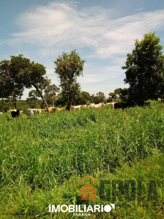 Propriedade Rural para  vendaPedro Gomes, 2.650.000,00m²