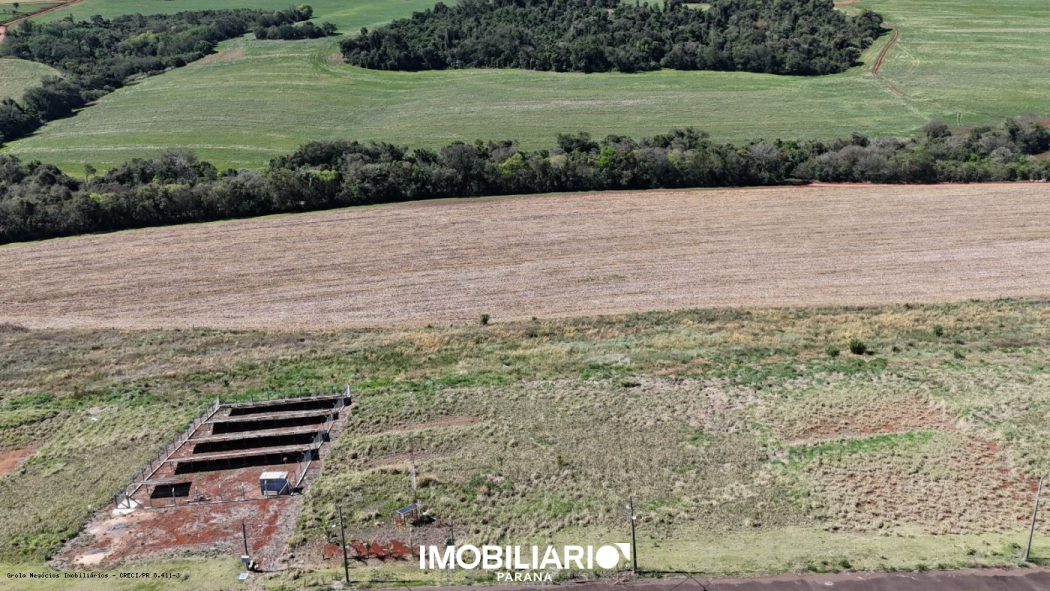 Terreno para  venda em ., Luiziana, 500,00m²