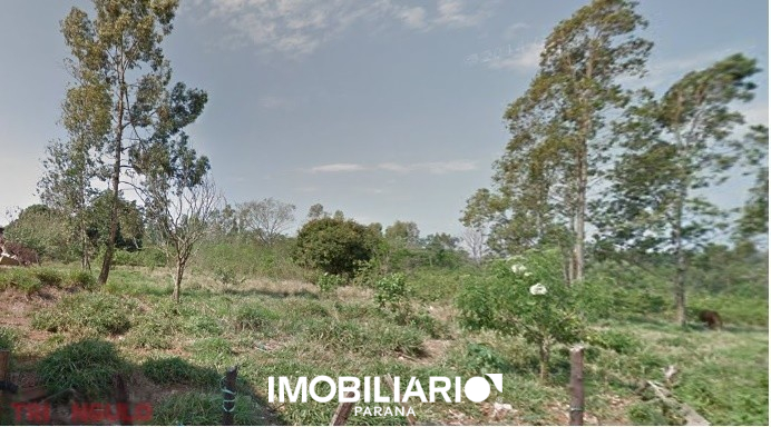Terreno para  alugar em Jardim Paineiras, Umuarama, 3.189,00m²
