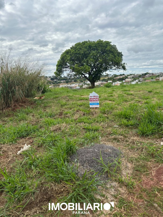 Terreno para  venda em Jardim Aeroporto, Umuarama, 214,00m²