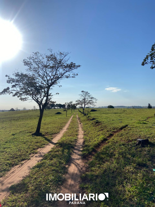 Rural para  venda em Área Rural de Umuarama, Umuarama, 20.000,00m²