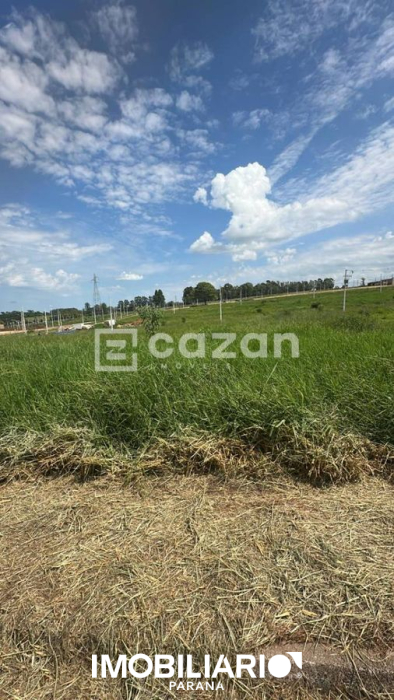 Terreno para  vendaUmuarama, 300,00m²