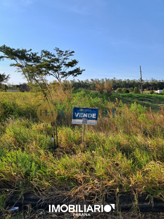 Terreno para  alugar em Parque Residencial Viena III, Umuarama, 133,87m²