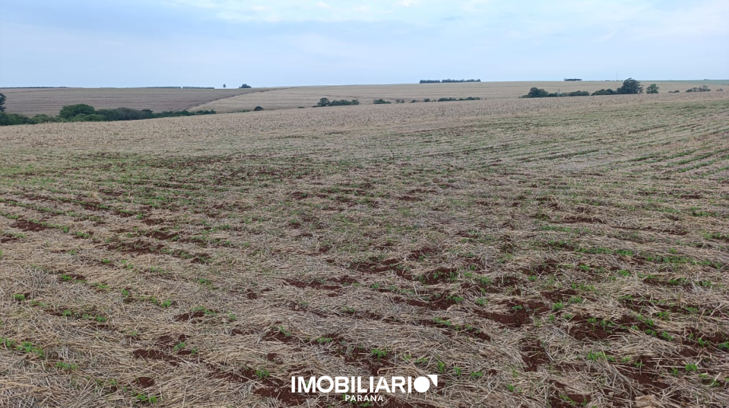 Rural para  venda em Centro, Campo Mourão, 20,00 alq