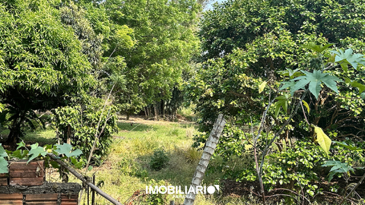 Terreno para  venda em Jardim Primavera, Goioerê, 900,00m²