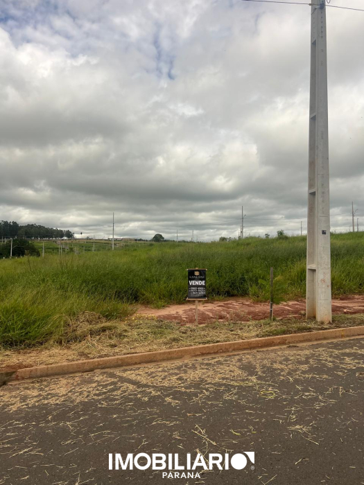 Terreno para  vendaUmuarama, 300,00m²