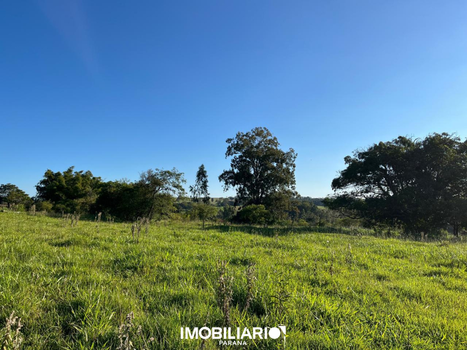 Rural para  venda em Estrada Jaborandi, Umuarama, 20.000,00m²